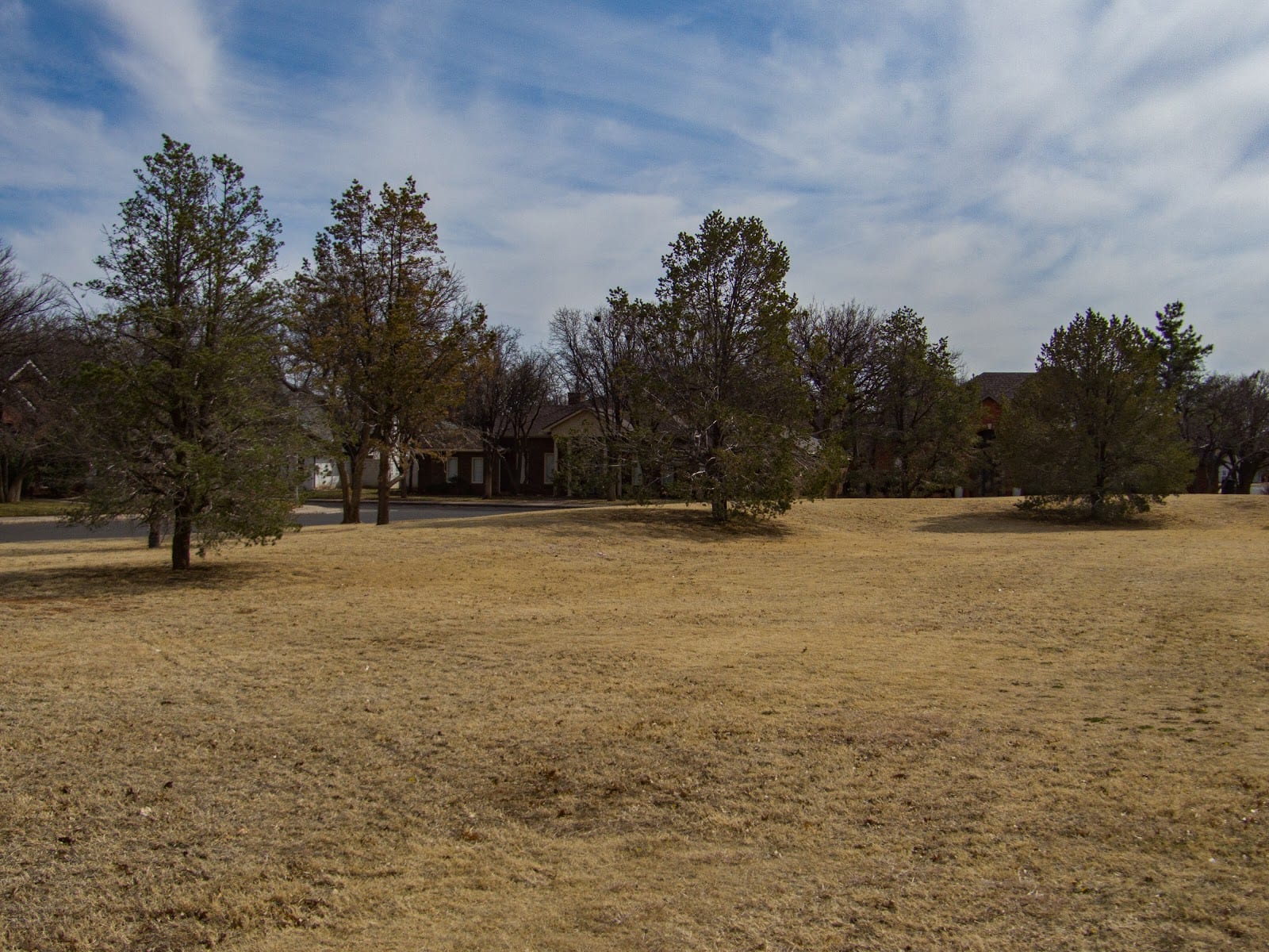 Neugebauer Park