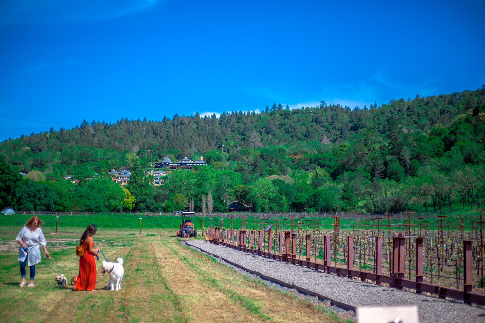 Rutherford Ranch Winery