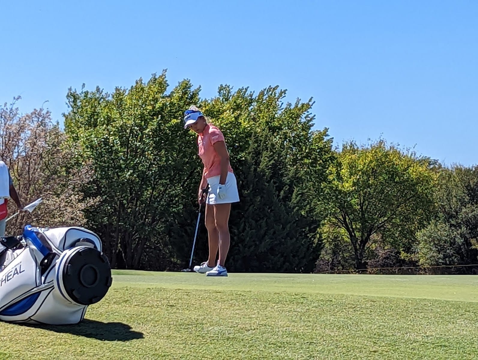 Golf Clubs at The Tribute, photo 4