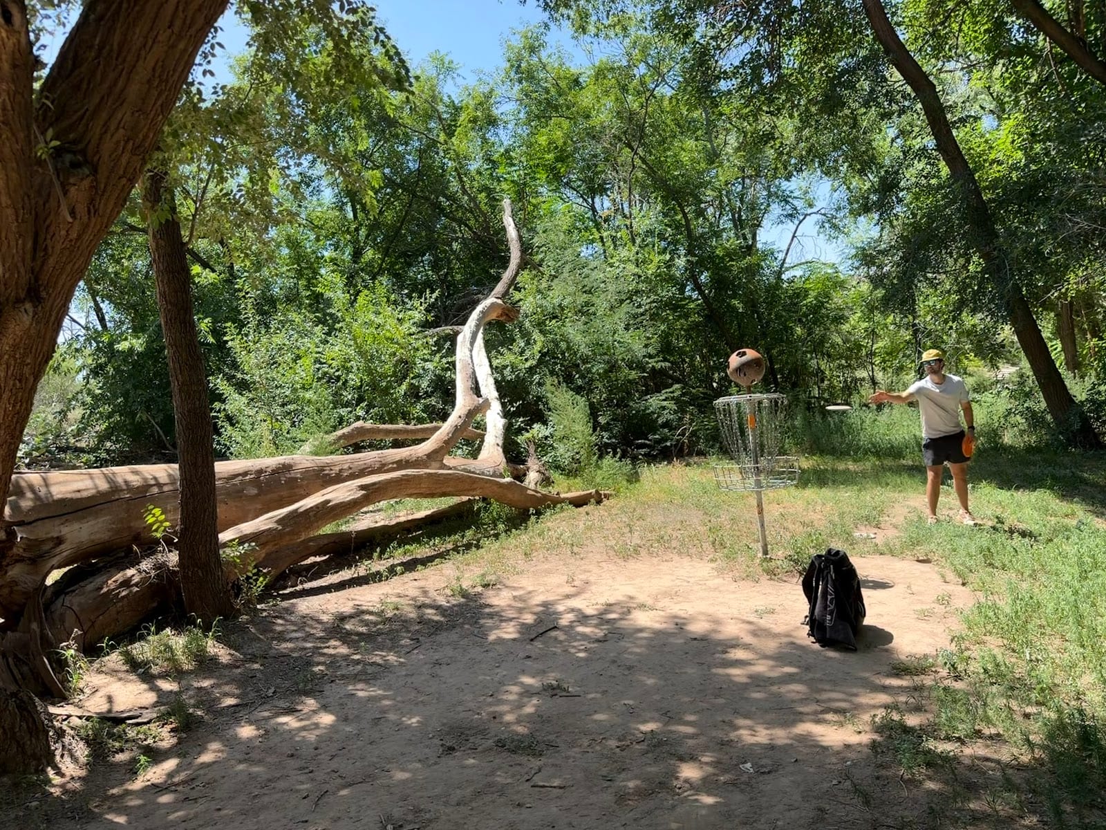 Mae Simmons Disc Golf Course