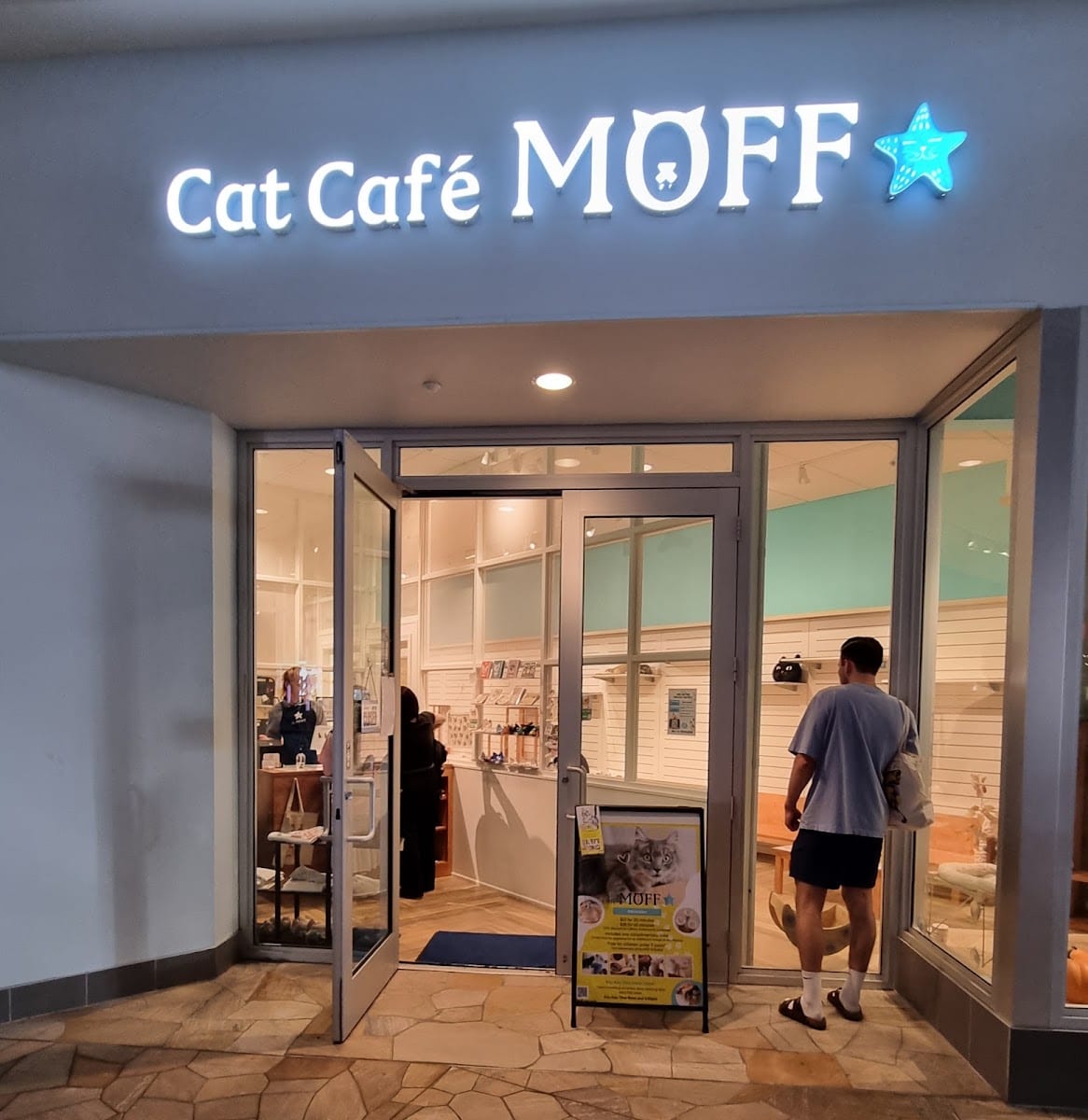 Cat Café MOFF International Market Place