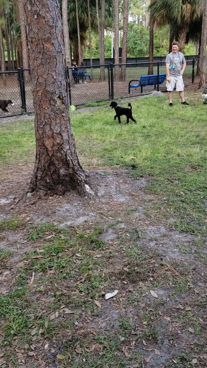 New Tampa Rotary Dog Park, photo 2