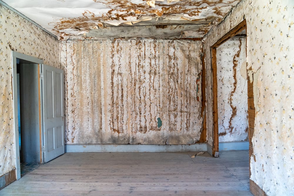 IRS Water Damage Removal