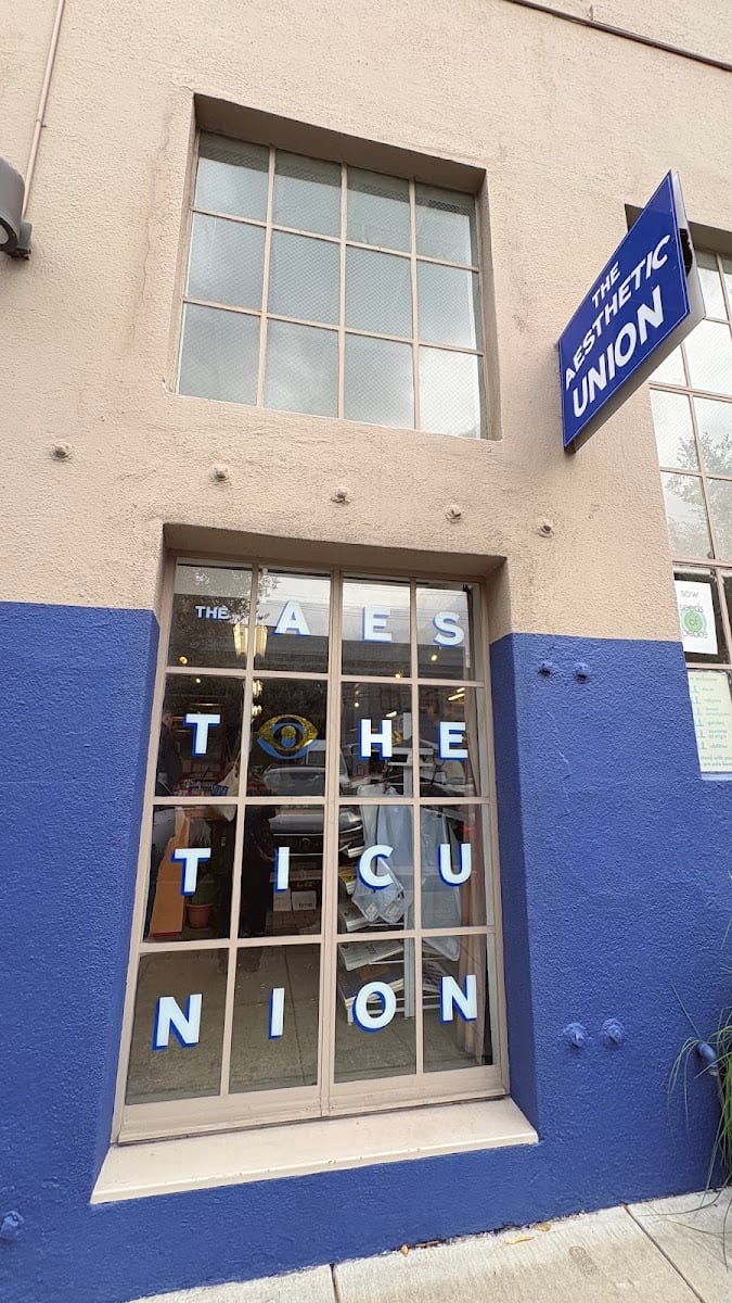 The Aesthetic Union, photo 4