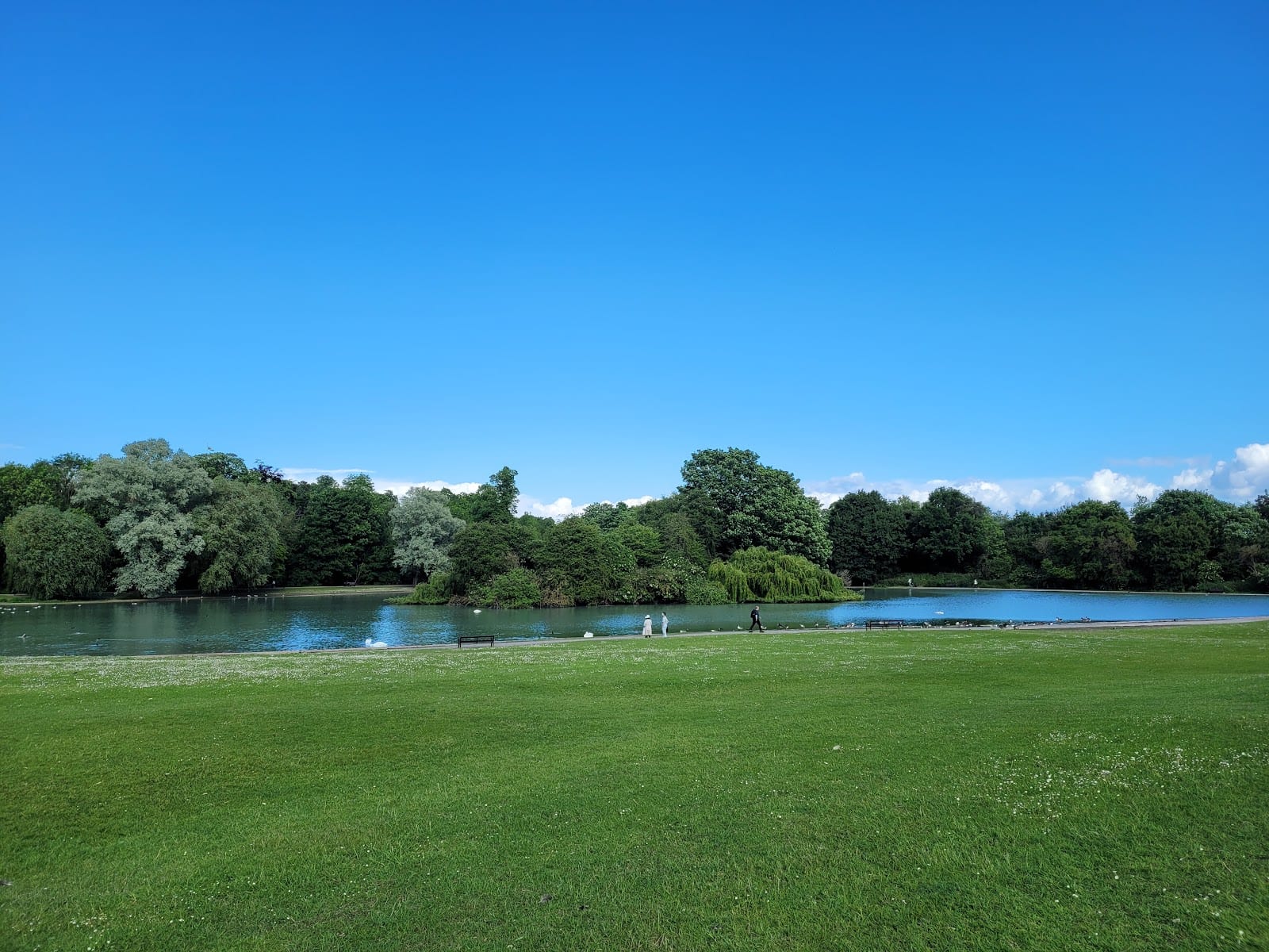 Verulamium Park, photo 3