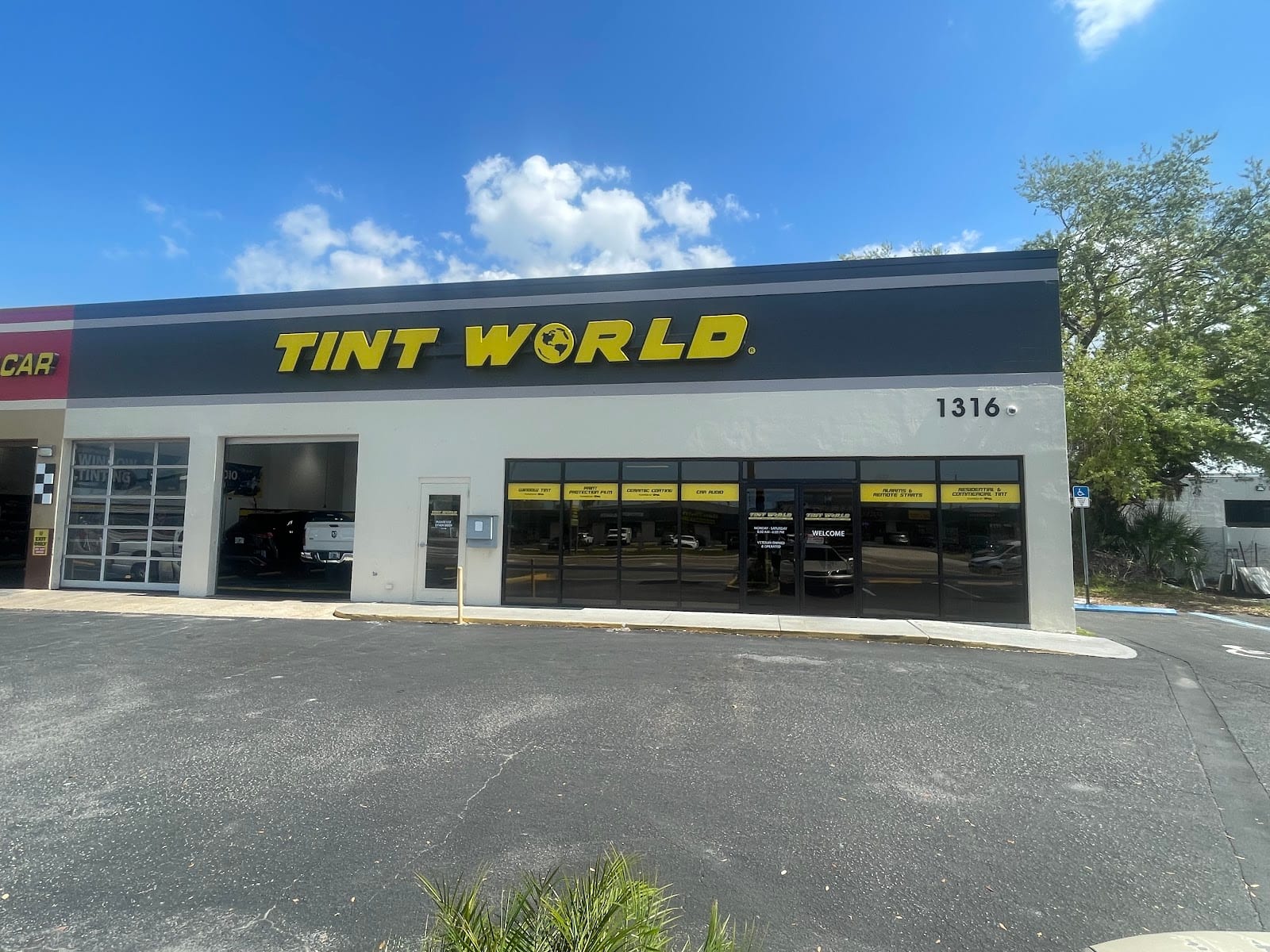 Tint World