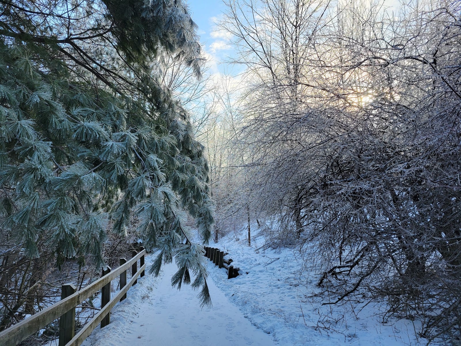 Trans-Richmond Trail Viewpoint Area