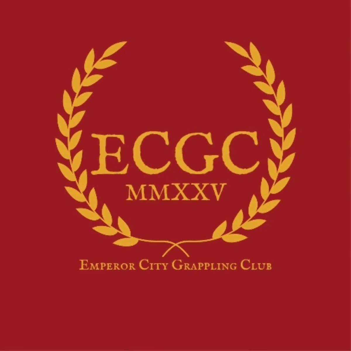 Emperor City Grappling Club, photo 4