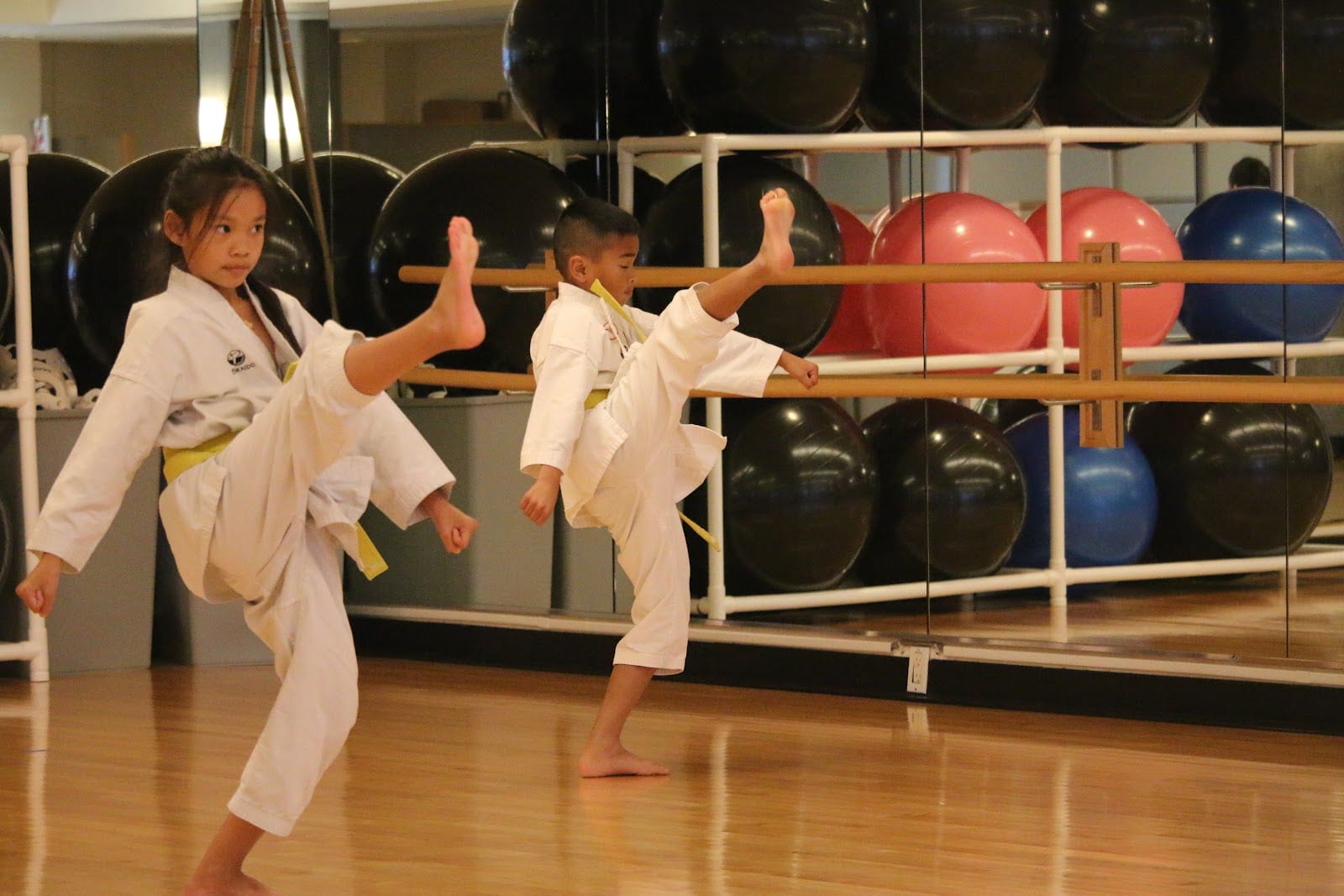 Japan Karate Association/American Federation Institute, photo 2