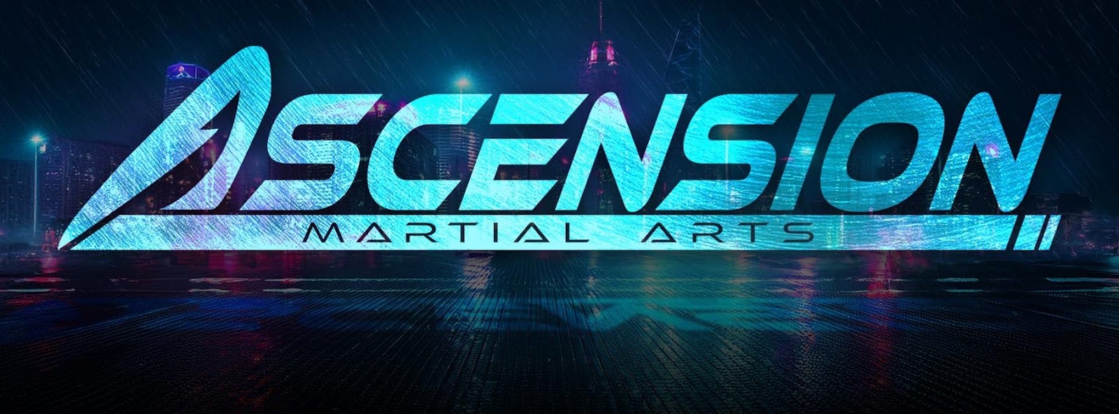 Ascension Martial Arts, photo 2