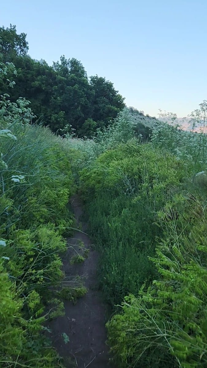 Murray Farm Trailhead, photo 2