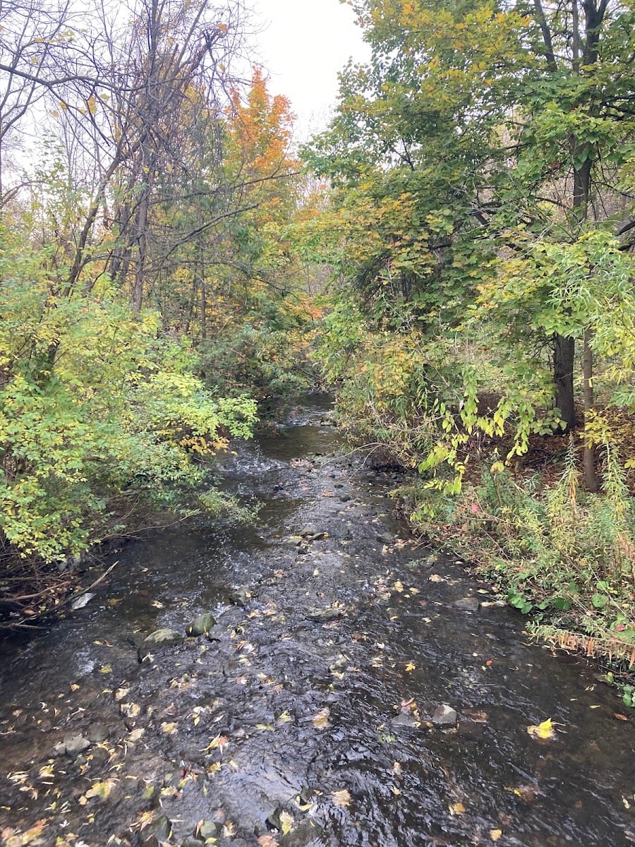 Wood's Park, photo 3