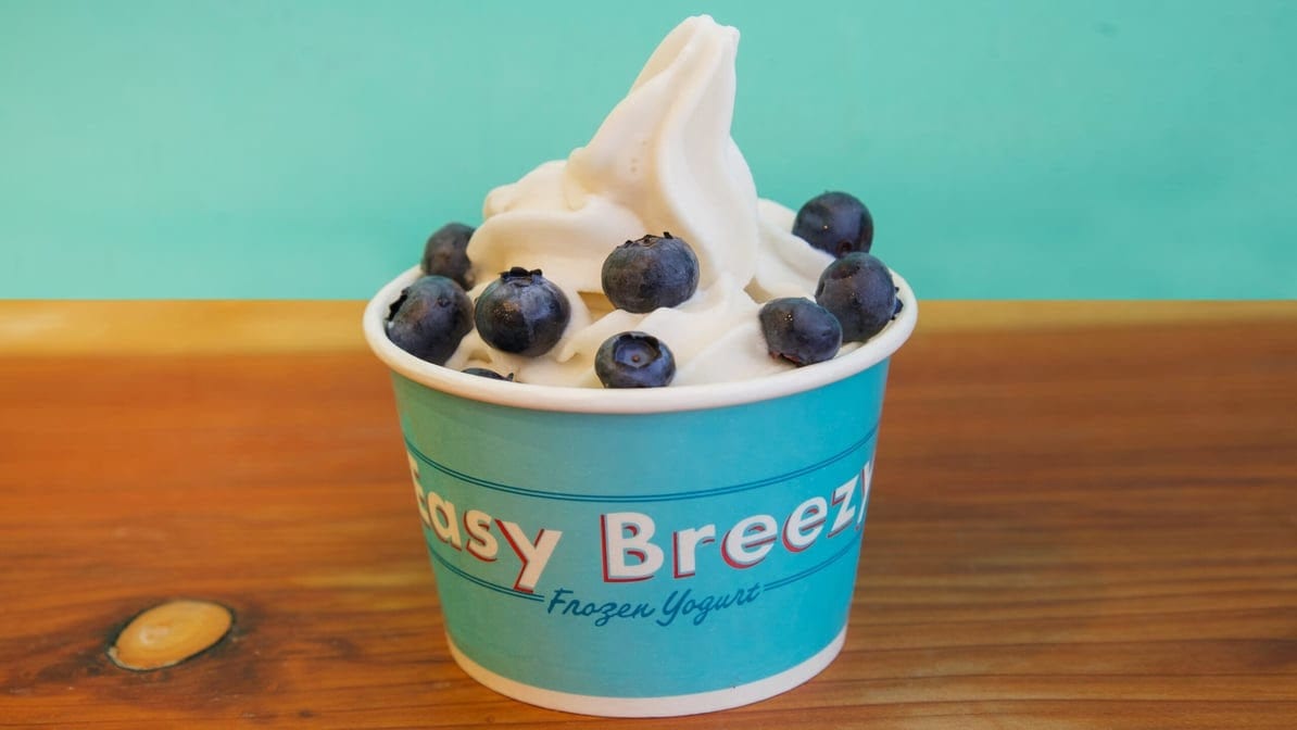 Easy Breezy Frozen Yogurt, photo 4