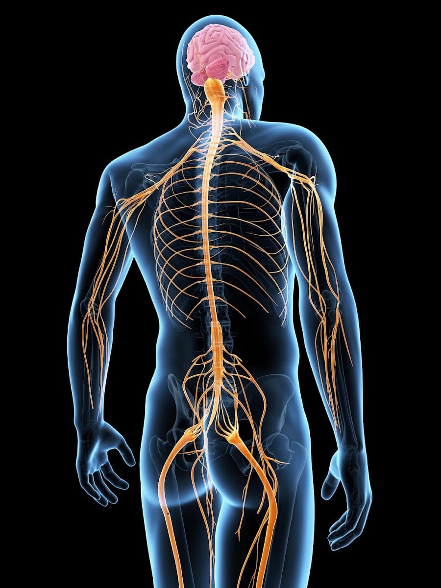 Absolute Rehabilitation and Pain Medicine, photo 4
