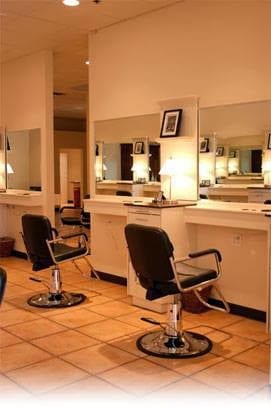 Elysian Salon, photo 2