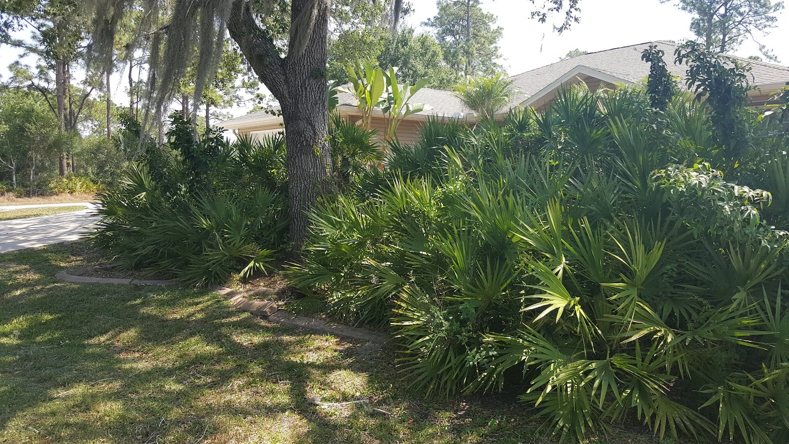 Affordable Landscaping of Charlotte County, photo 2