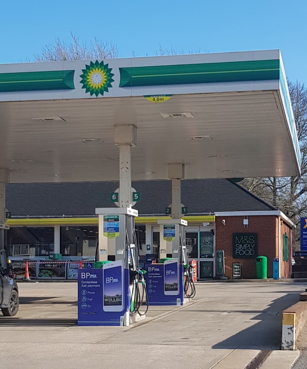bp, photo 4