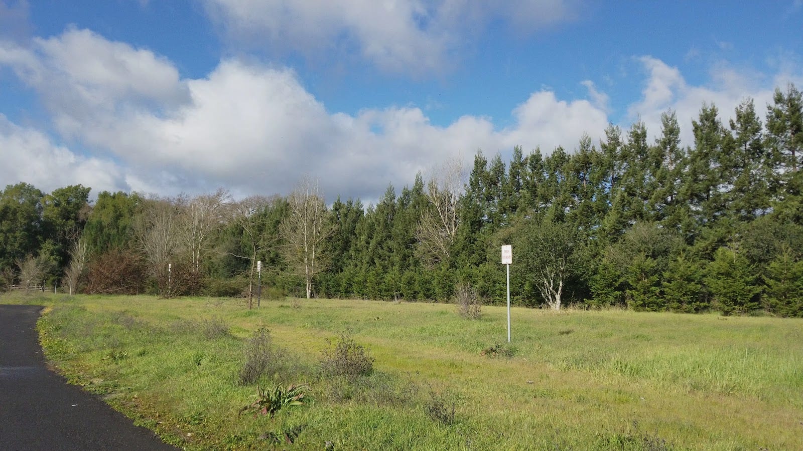 Trancas Crossing Park, photo 2