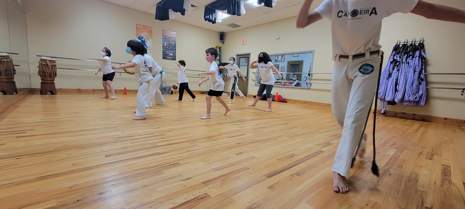 Tampa Bay Capoeira, photo 2