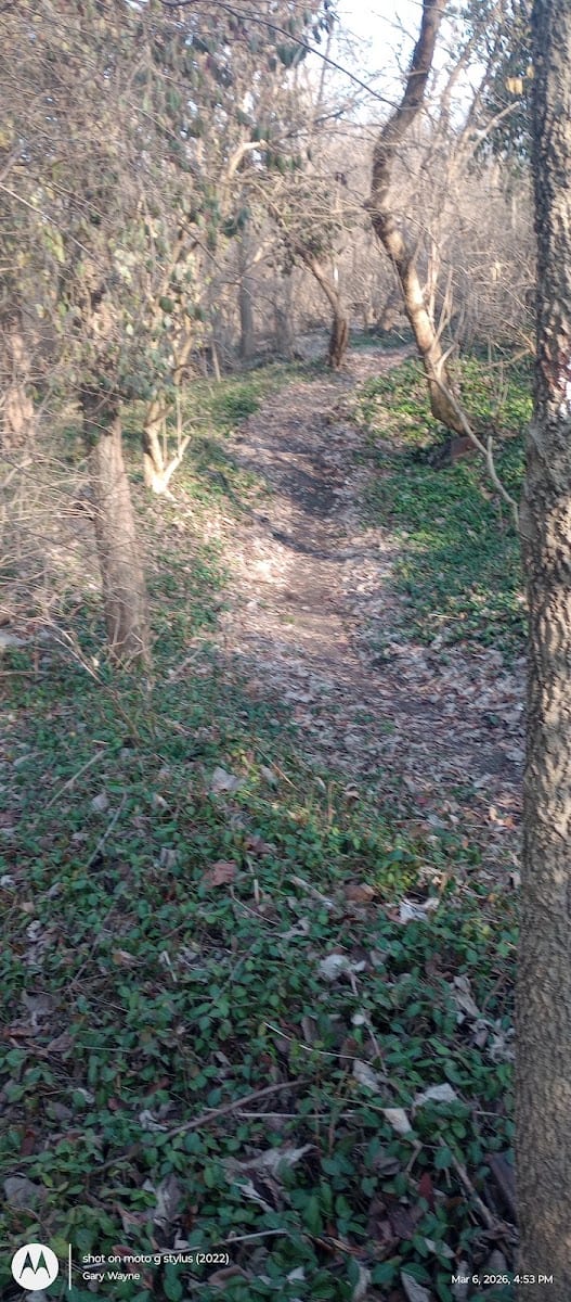 Madison Park