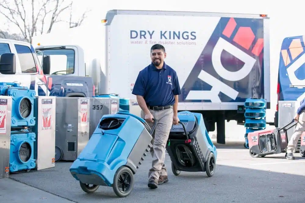 Dry Kings