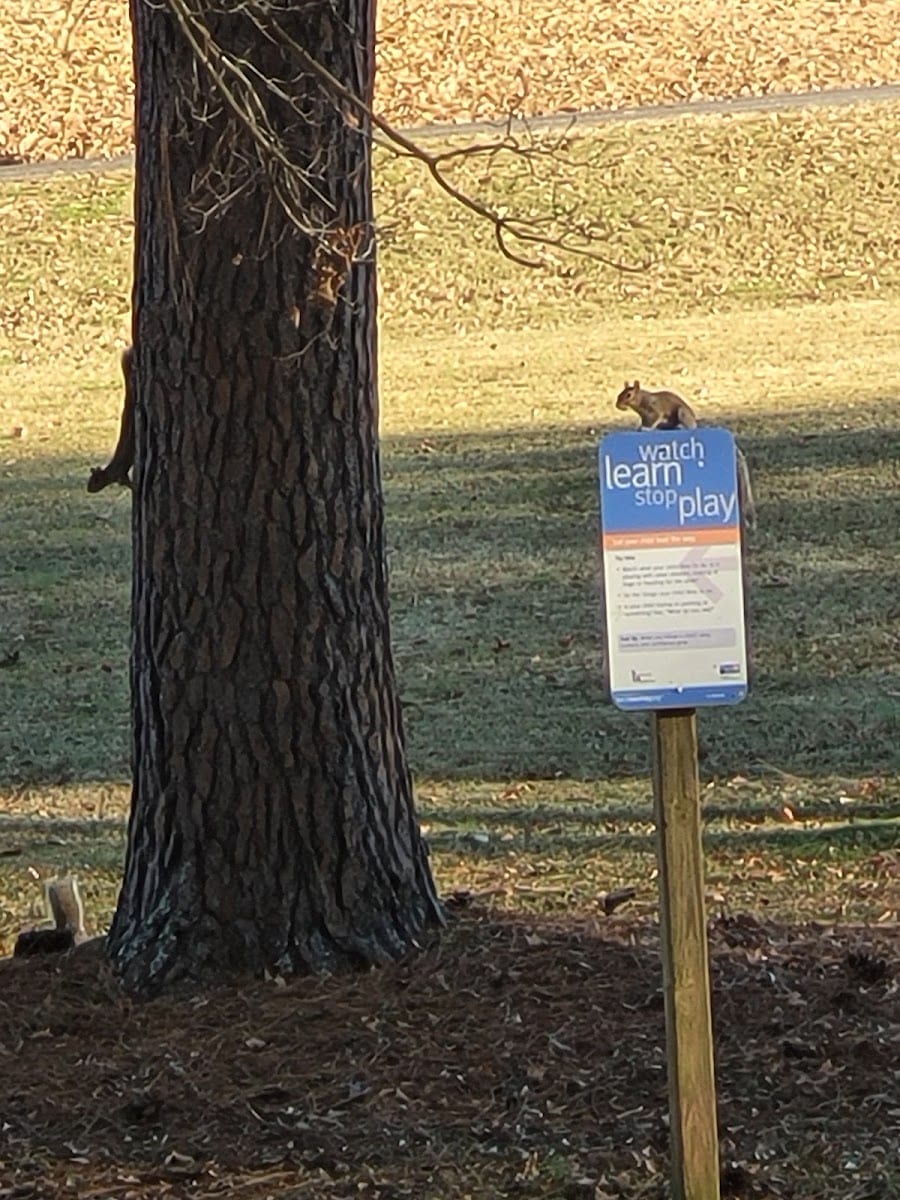 Watson Park, photo 2