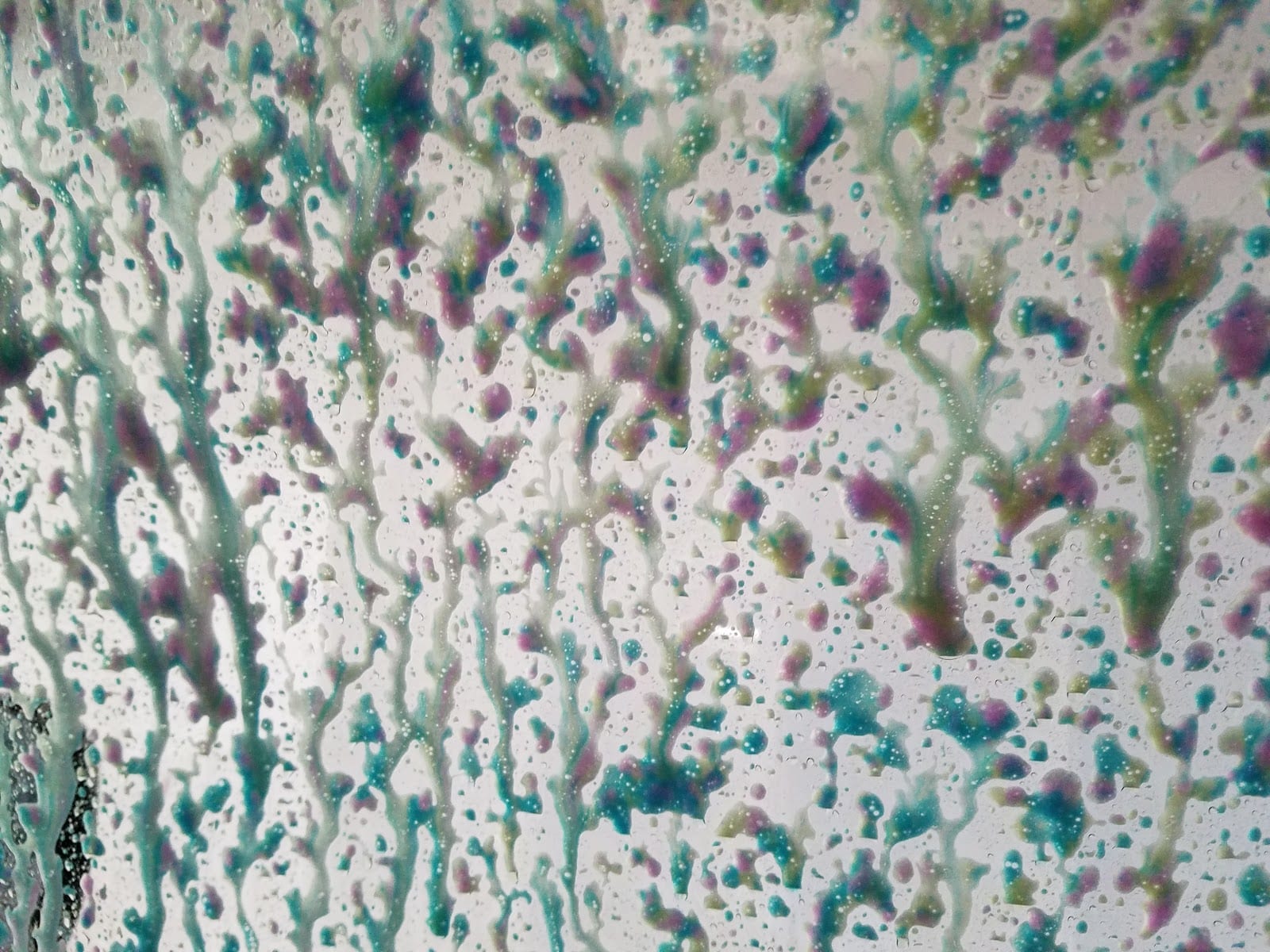 H-E-B Car Wash, photo 2
