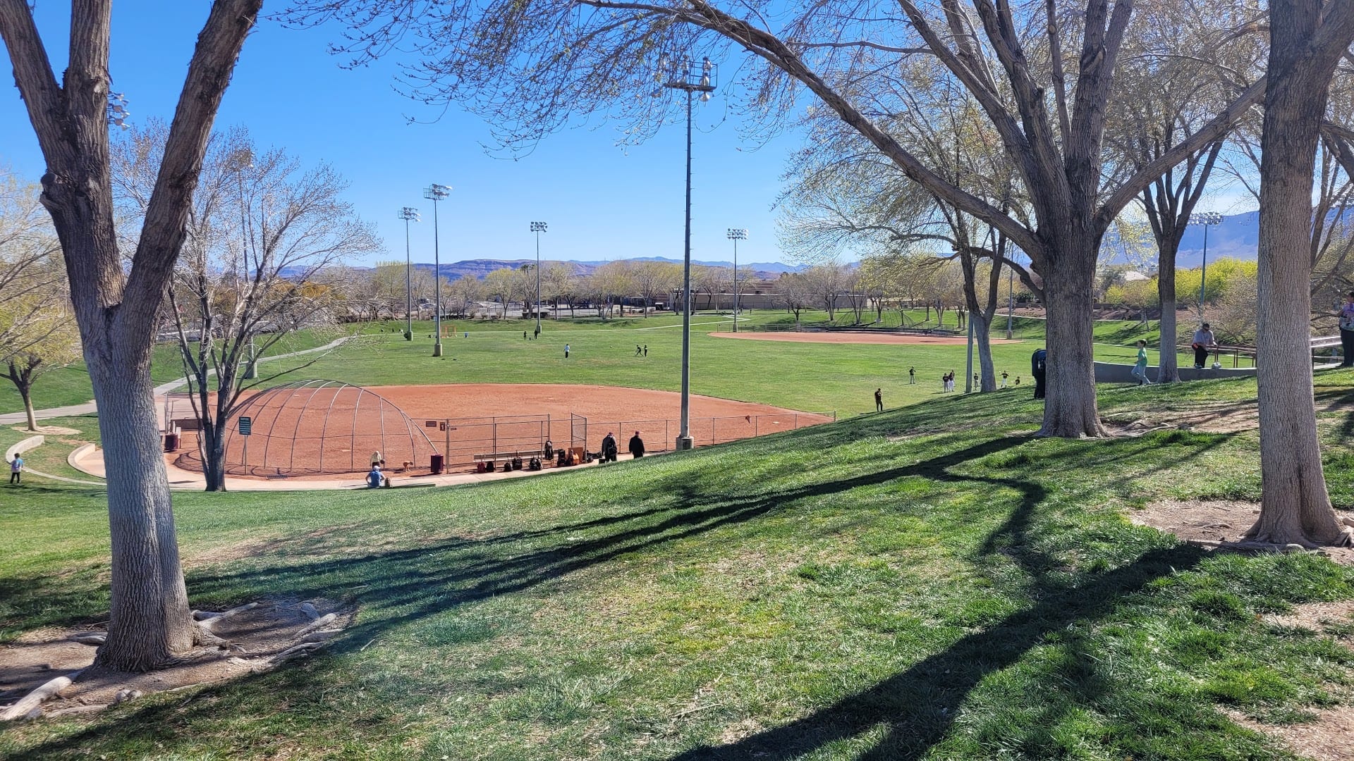 The Willows Park