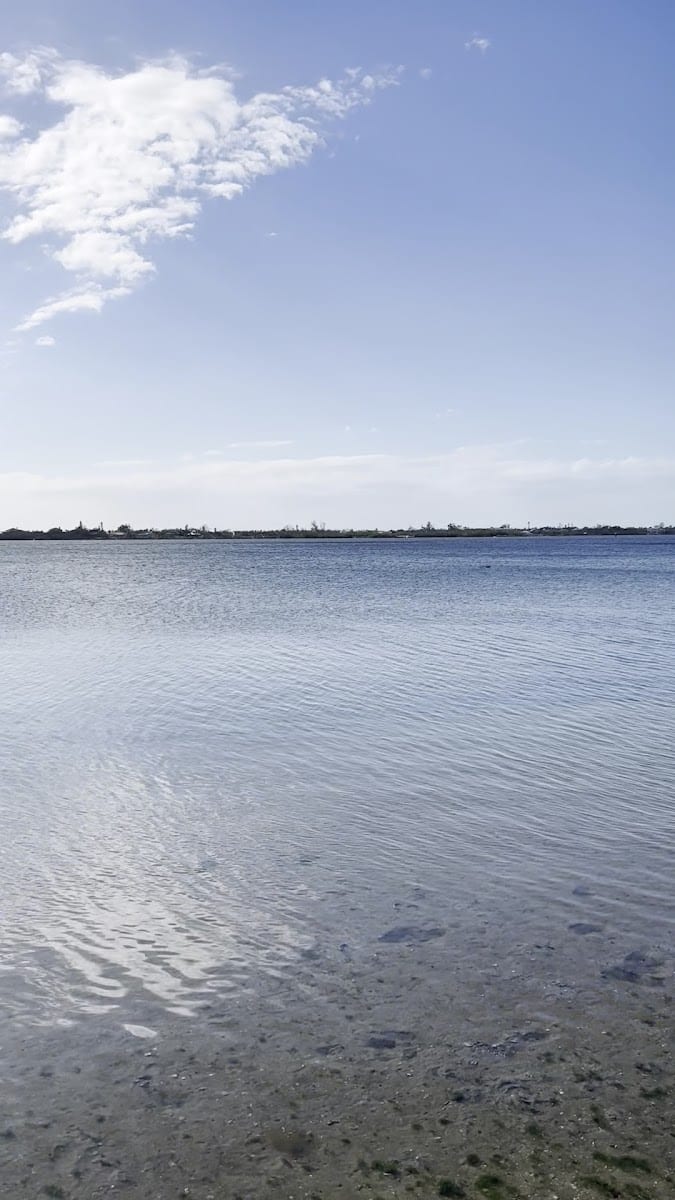 Lemon Bay Park & Environmental Center, photo 2