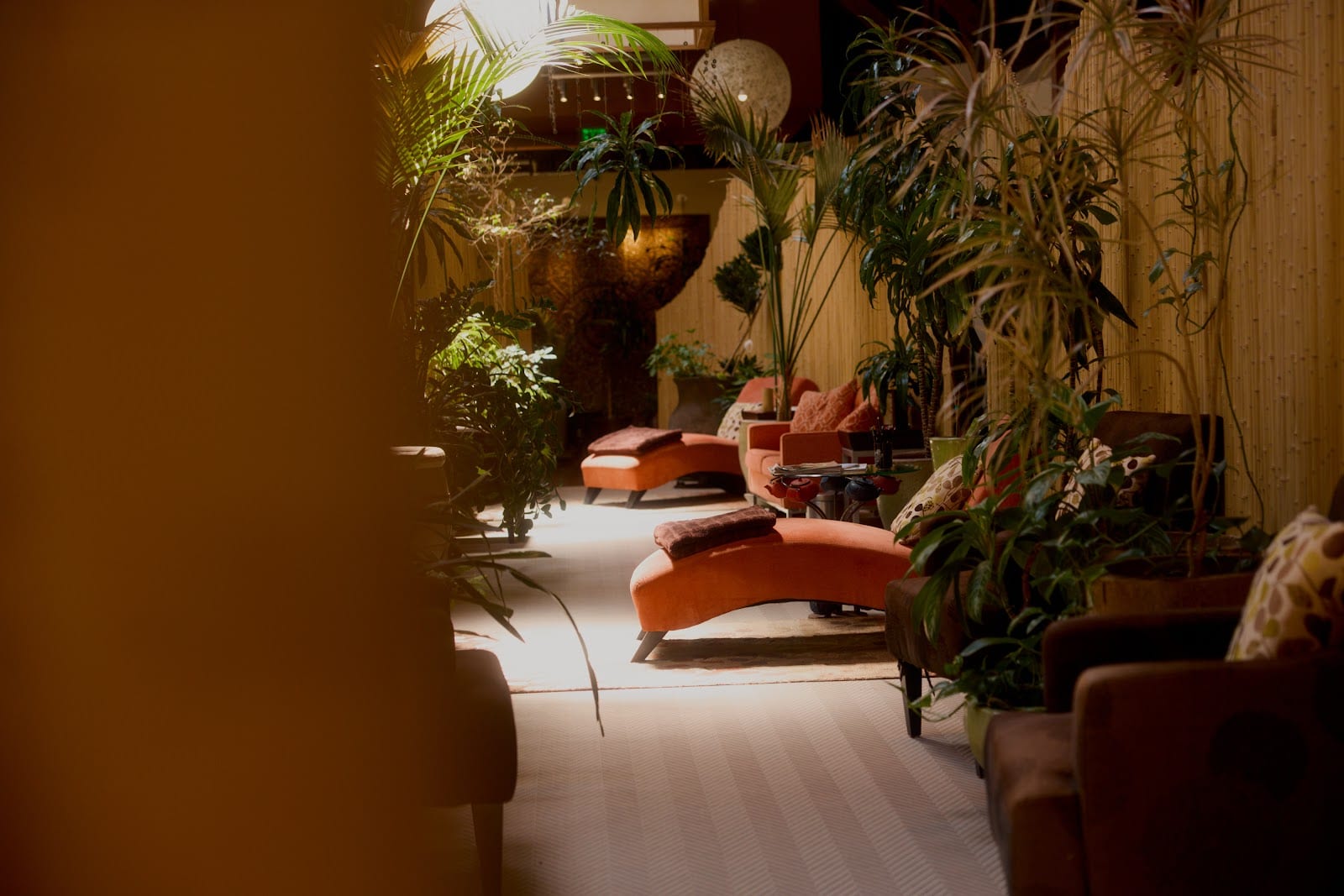 Senspa, photo 2