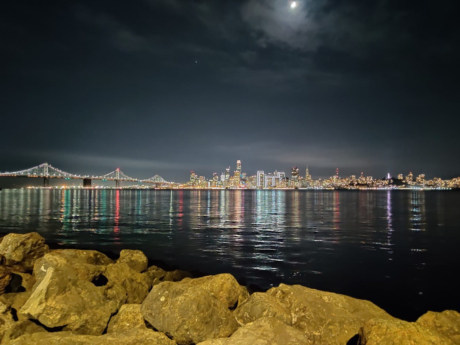 Treasure Island Dog Park, photo 2