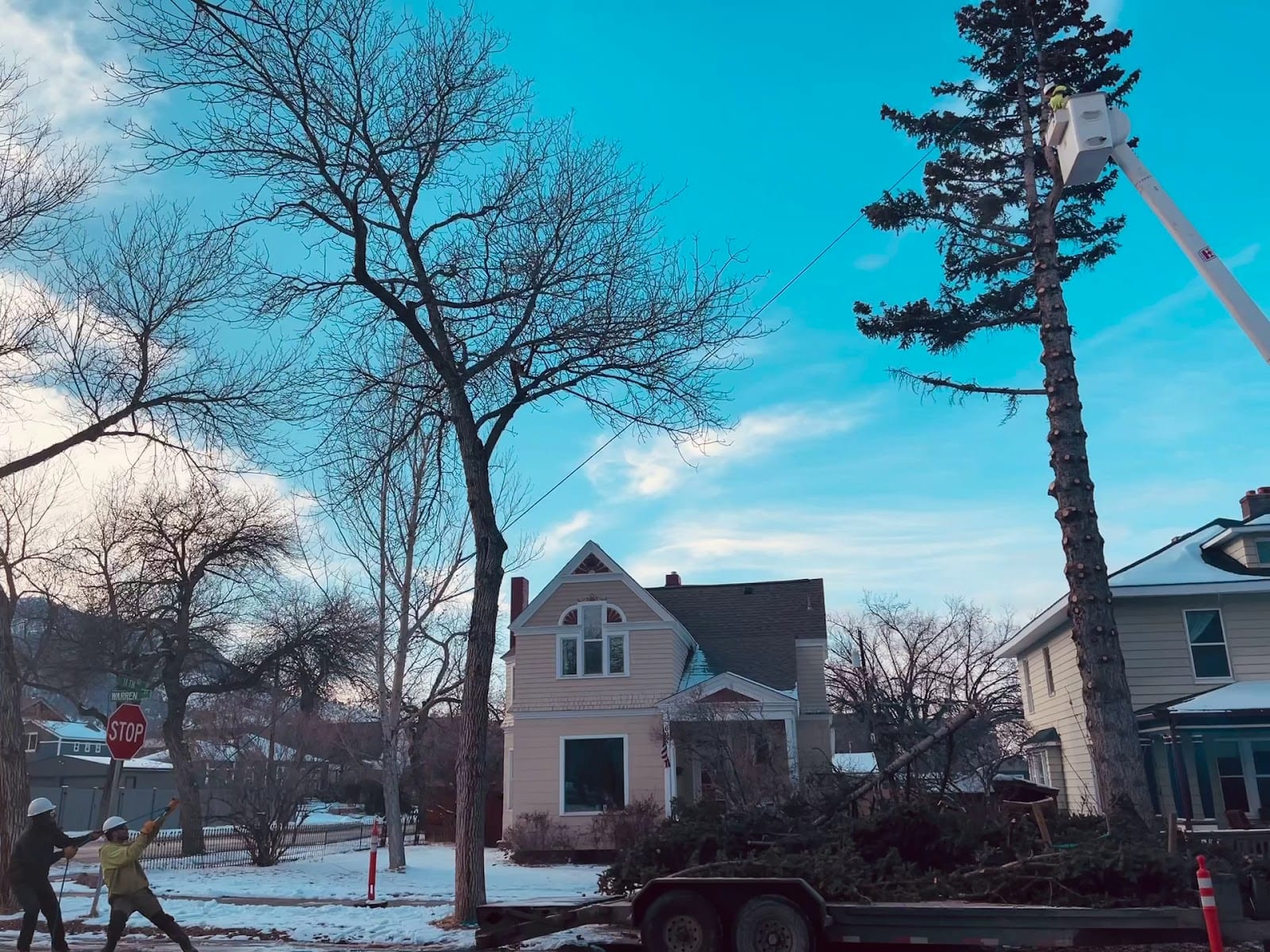 Field’s Tree Service, LLC, photo 3