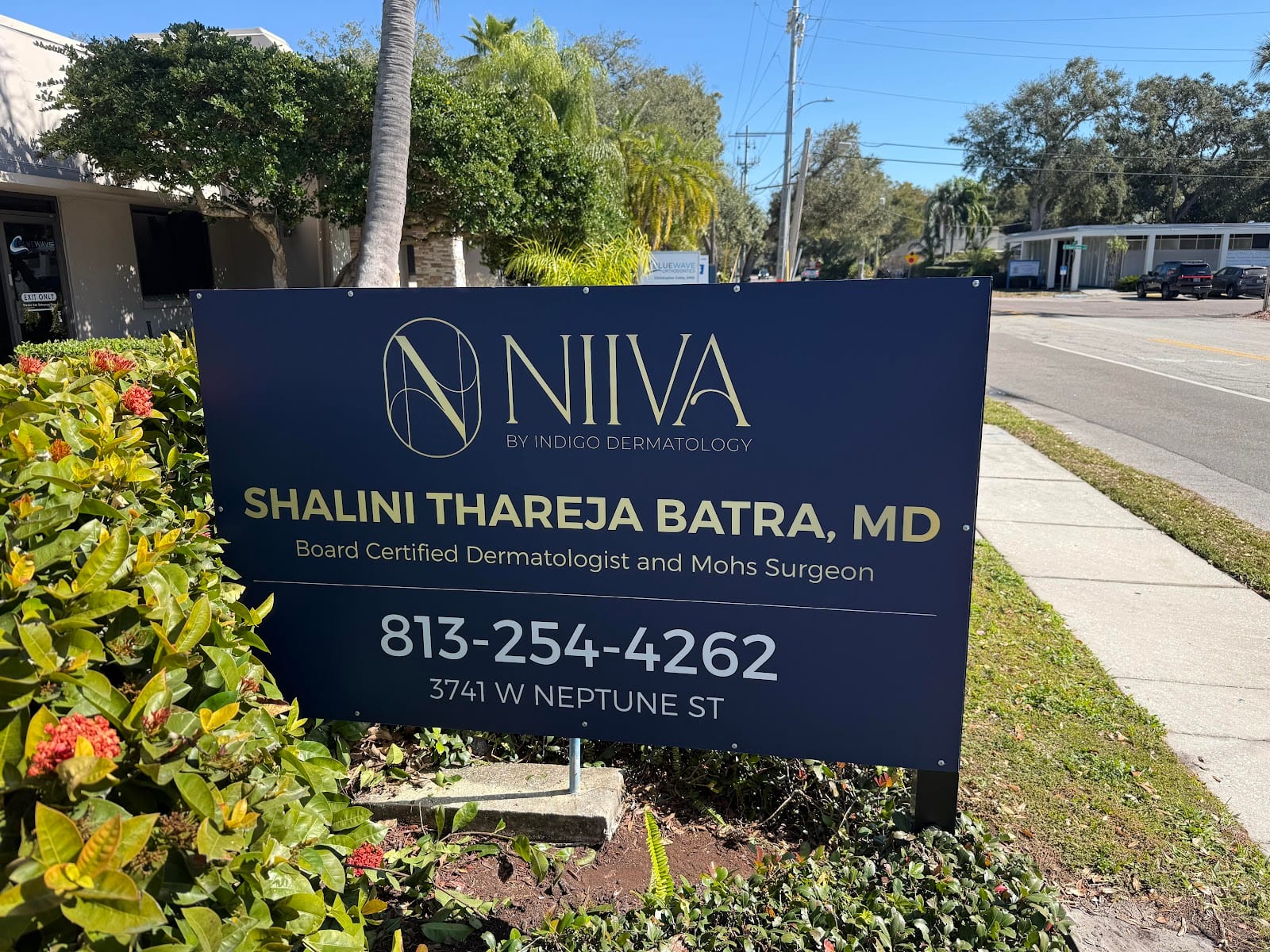 NIIVA by Indigo Dermatology, photo 2