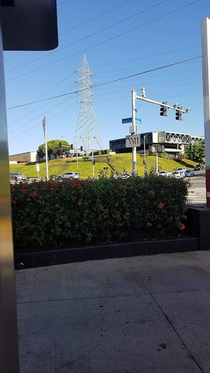 76, photo 3