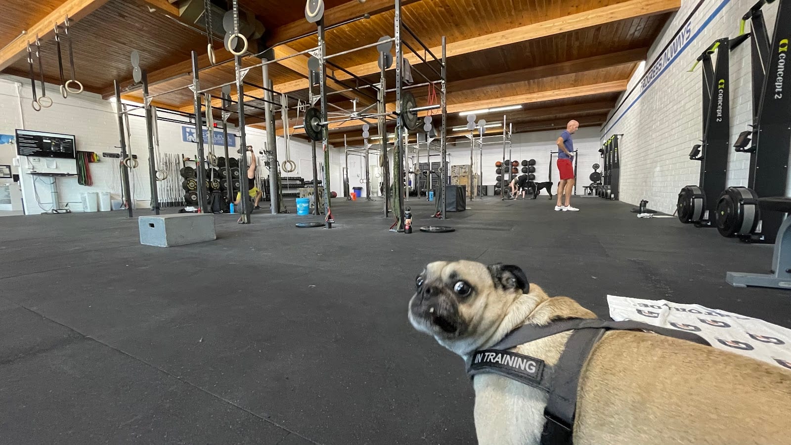 Next Level Fitness, photo 3