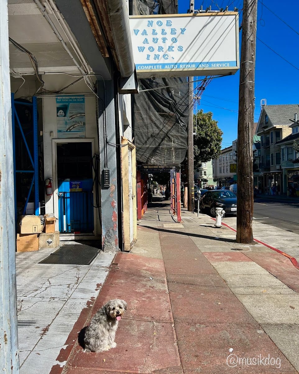 Noe Valley Auto Works, photo 4