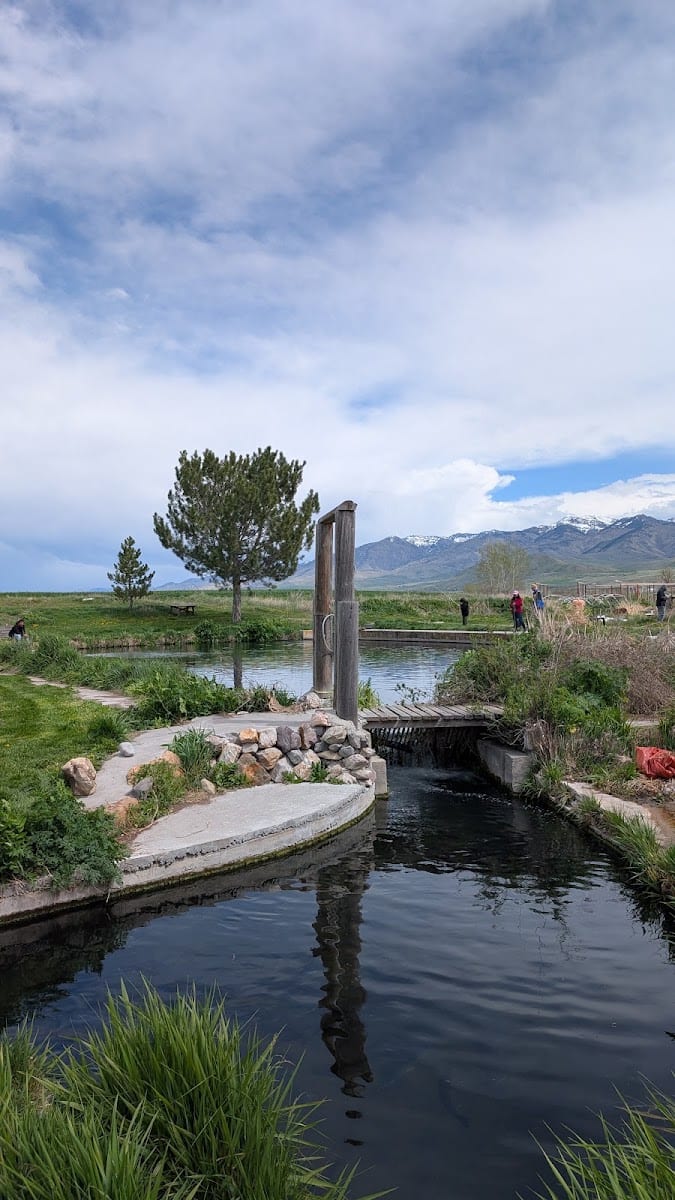 Mountain Valley Trout Farm