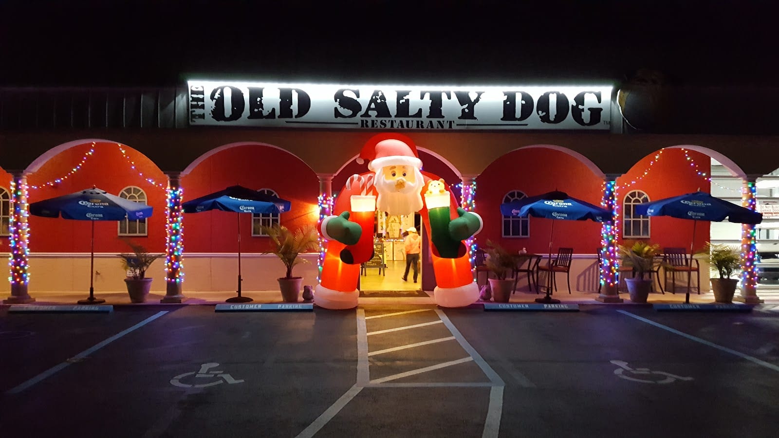 The Old Salty Dog Venice