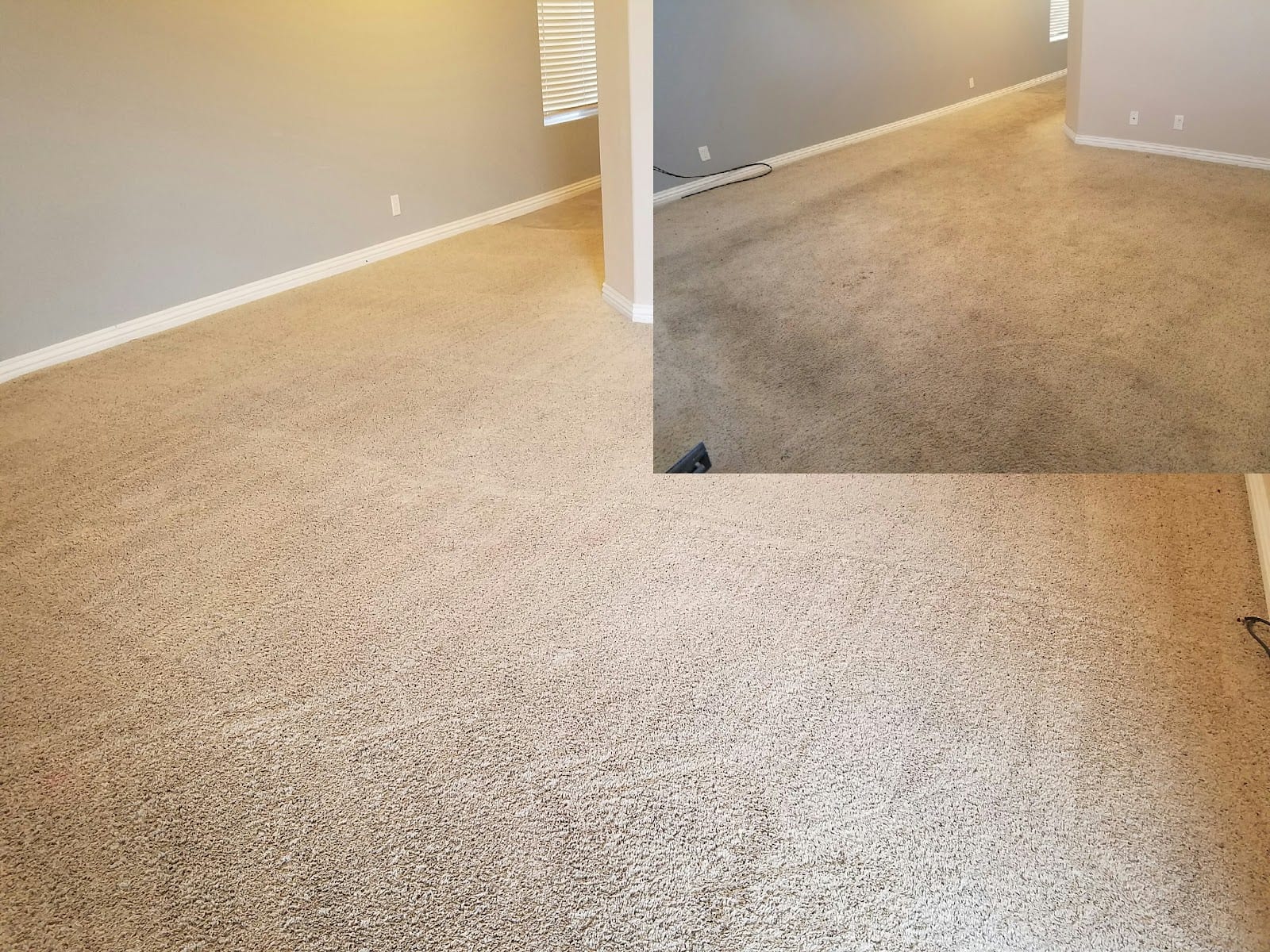 T-Bird Carpet Care