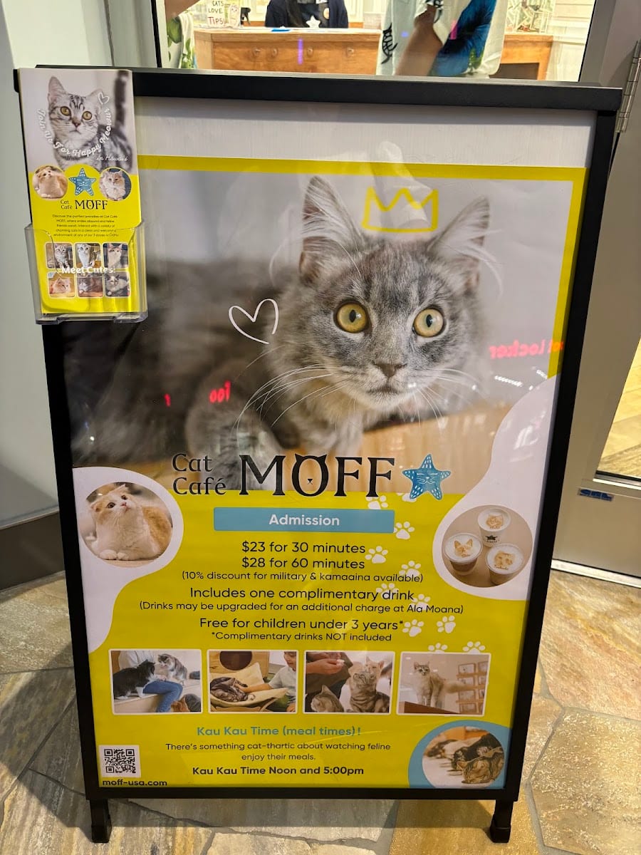 Cat Café MOFF International Market Place, photo 3