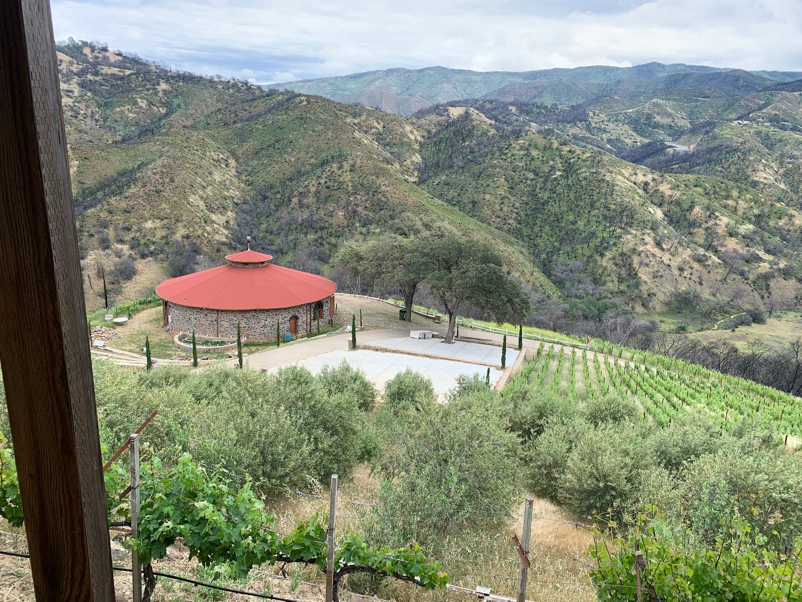 M.S Torun Winery and Ranch