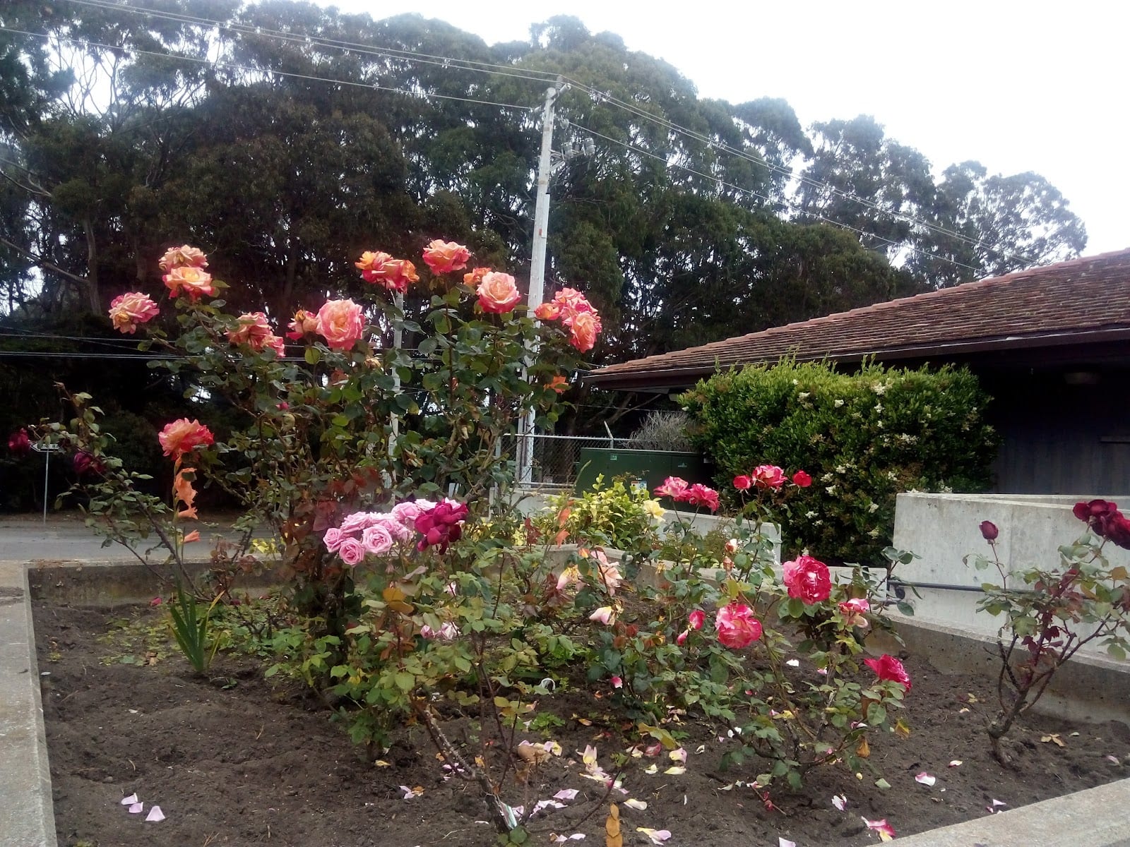 Pomeroy Recreation & Rehabilitation Center, photo 2