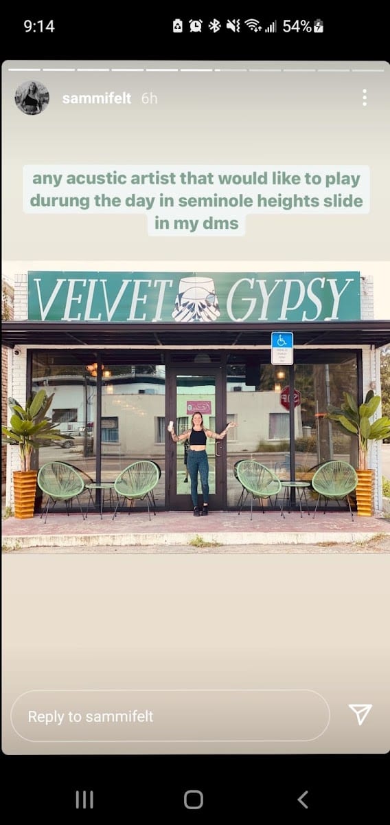 Velvet Gypsy, photo 2
