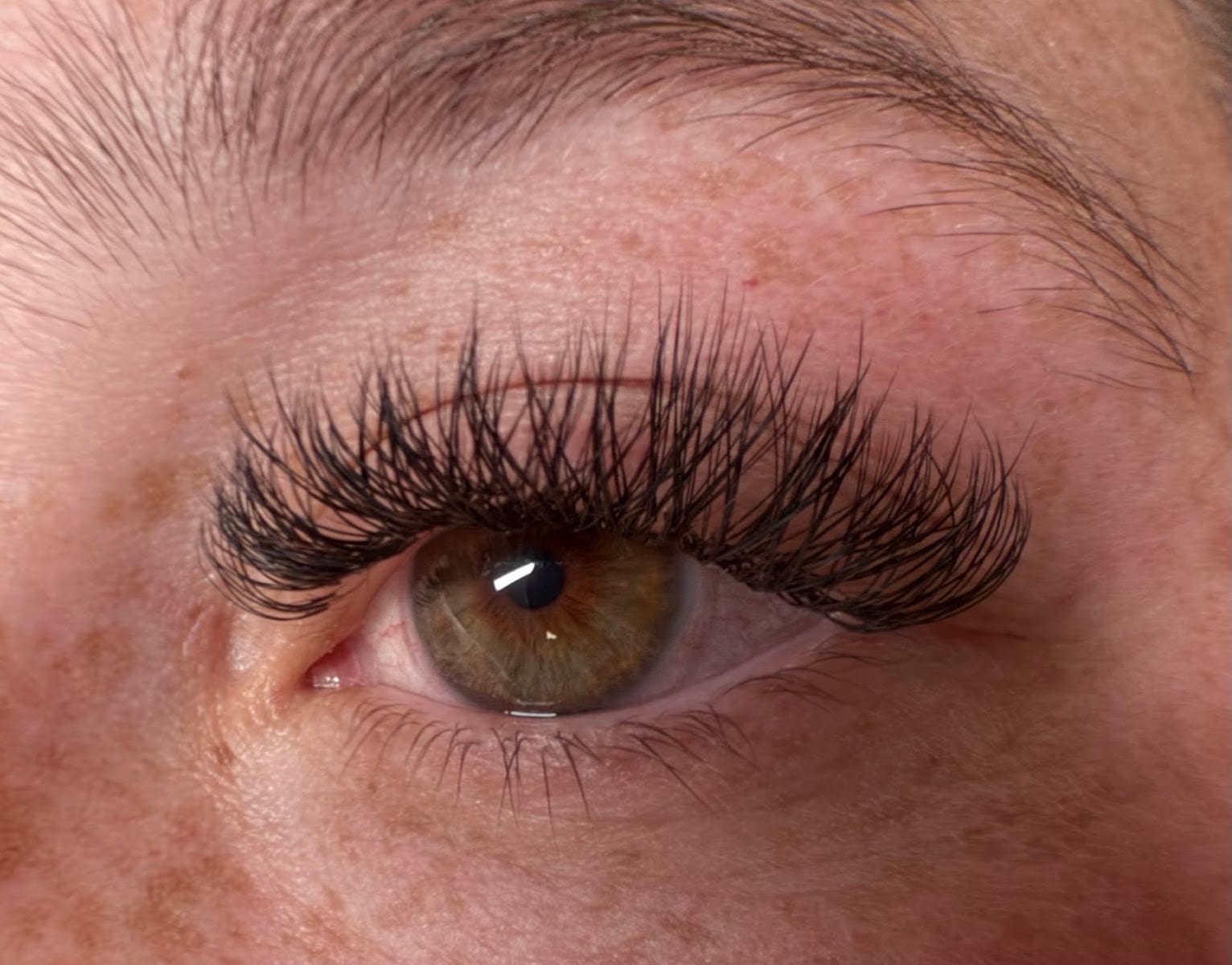 The Lash Lab, photo 4