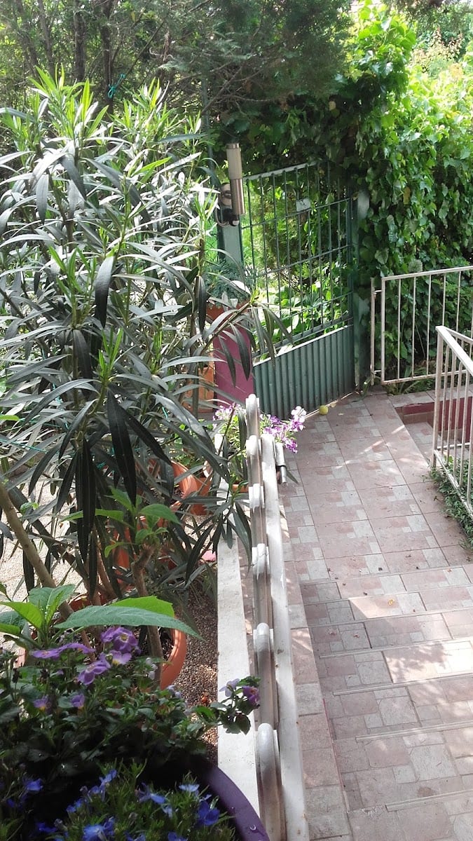 Privet Park, photo 2