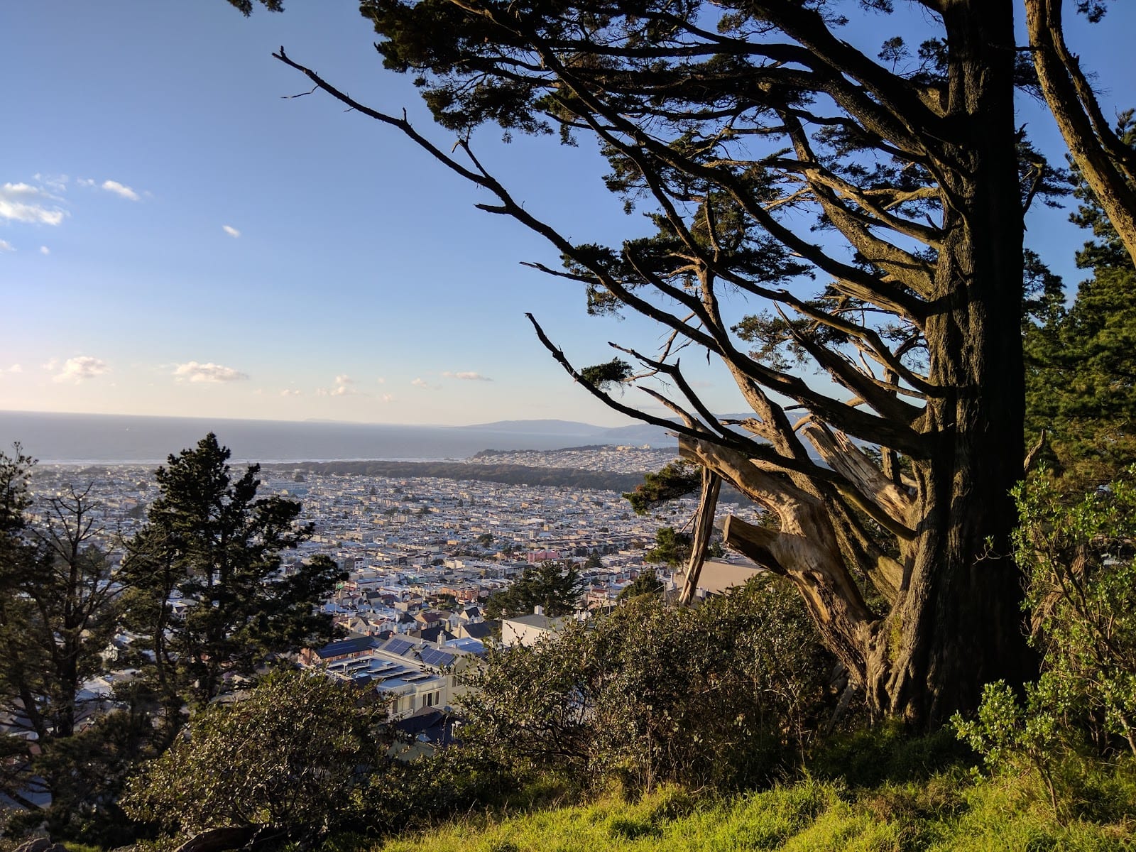 Golden Gate Heights Park