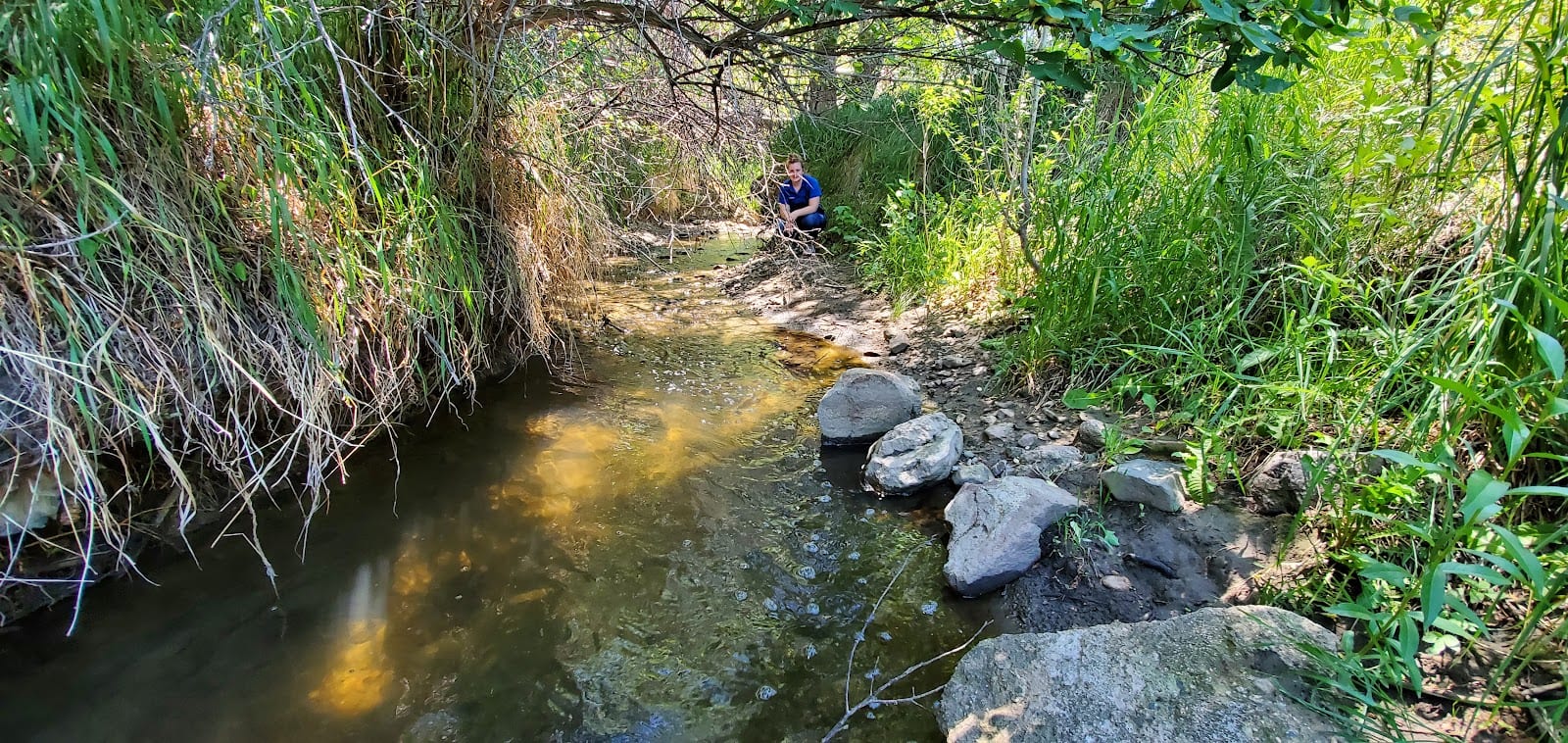 Garden Creek Park