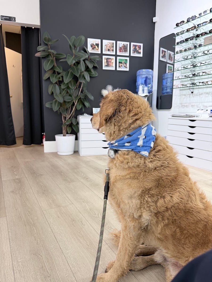 Eye Exam SF - Martha Klufas O.D.