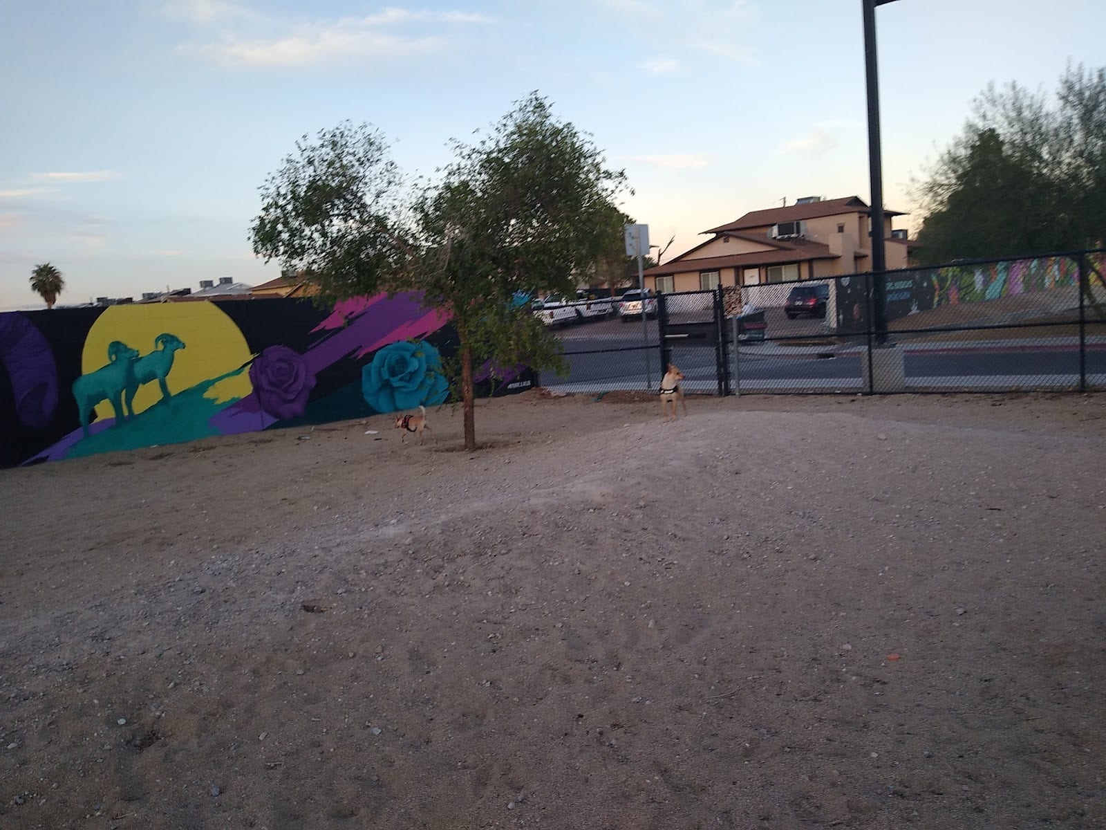 Dog Park, photo 3