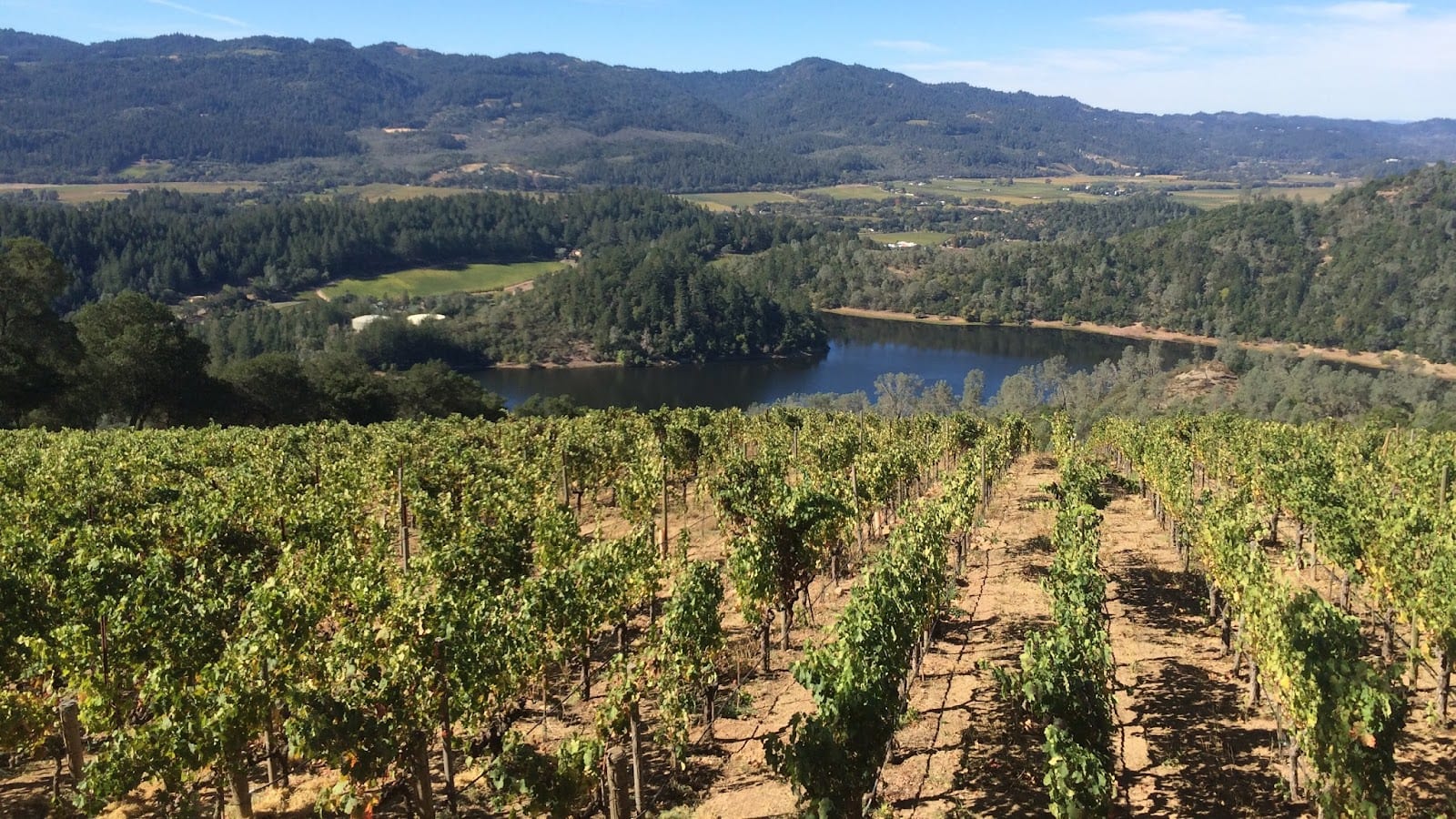 Bin 415 Wine Tastings & Private Tours
